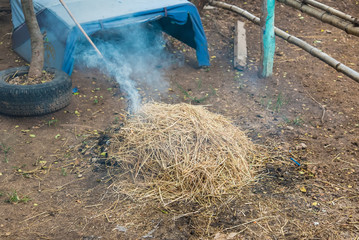 Pile of grass and debris burns in the garden.