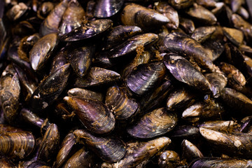 mejillones crudos en el mercado
