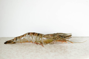 king tiger prawn on white table , fresh food, copy space