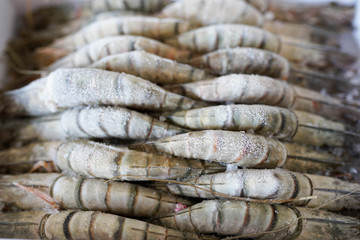 frozen king tiger prawns in box in supermarket