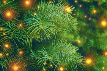 Christmas background with fir branches and lights. festive new year background. fir-tree branches closeup.