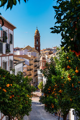 San Sebastian church tower in Antequera, Malaga Province, Andalusia, Spain