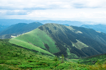 Fototapeta premium green mountain Carpathians ridge, low clouds