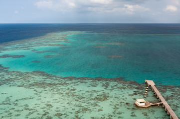 Sudan coral reef