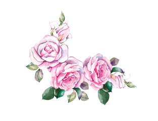 Pink rose. decorative watercolor flowers. floral illustration, Leaf and buds. Botanic composition for wedding or greeting card. branch of flowers - abstraction roses, romantic rosebush