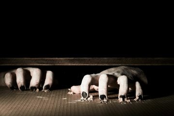 Pale scary hands with black claws scratch the floor. Hard light, black background.