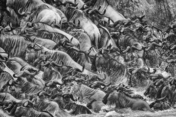 Migration2