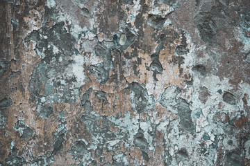 Flaky stucco on old gray concrete wall. Ruined house facade. Wreck background, abandoned built, texture. Grunge distressed view, dirty backdrop. Cracked plaster.