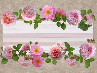 Beautiful rose flower design for card.