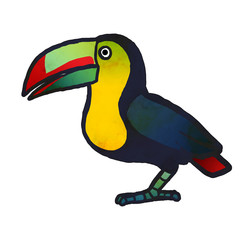 illustration of a toucan on white background