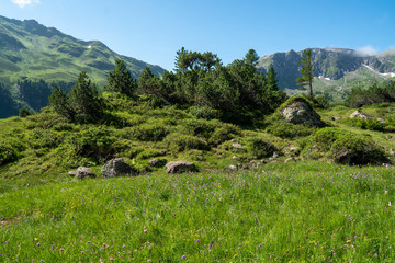 Fototapeta na wymiar UNESCO Weltnaturerbe, Geopark Sardona, Wanderung Mürtschenalp