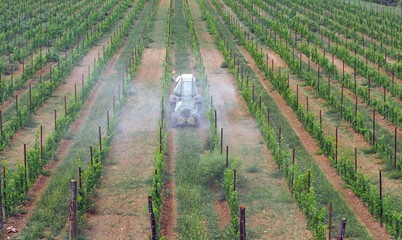 Tractor with agricultural sprayer machine sprinkls chemical pesticides  on the vineyards. Back...