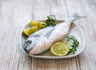 Fresh fish dorado