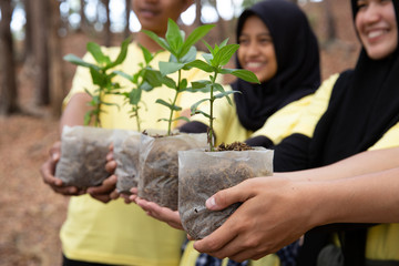 Asian young of volunteers carrying new trees in park together