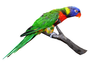 Lorikeet pattot sits on a branch, low poly illustration