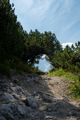 Fototapeta premium Wanderweg