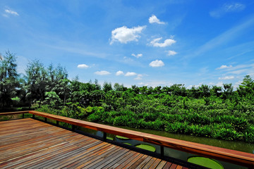 Fototapeta na wymiar Plain wood outdoor balcony to the fresh green garden on blue sky