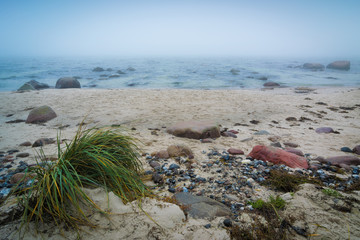 Herbst Nebel an der Ostsee Küste auf Insel Rügen