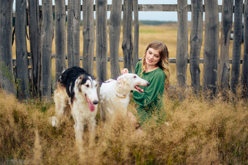 beautiful girl in a dress on nature with Russian greyhound dogs