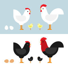 Chickens set vector illustration in color. Black and white Hen and Rooster. Character design in flat.