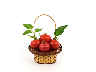 Tomatoes in a basket on a white background