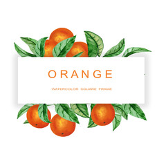 Watercolor.Orange tree branch frame template. Isolated mockup for packaging design.