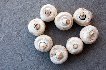 Fototapeta na wymiar champignon mushroom natural stone background 