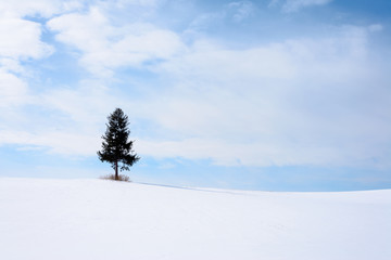 Fototapeta na wymiar 北海道、美瑛の雪景色