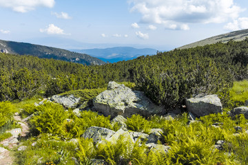 Malyoviska river Valley, Rila Mountain, Bulgaria