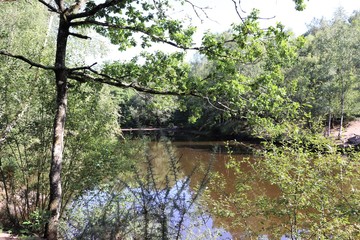 L'étang du miroir aux fées dans la forêt de Brocéliande sur la commune de Paimpont à l'entrée du Val sans Retour - Département du Morbihan - Bretagne - France 