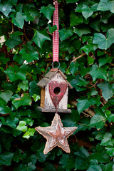 Cute Birdhouse With Star Across Ivy Wall