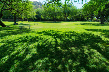 ハワイの公園