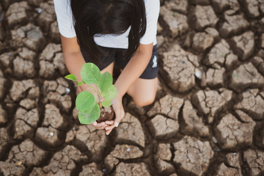 Top View Of Asian Girls Plant Trees In Arid Lands ,drought Condition Due To Climate Change.Tree Planting And Environmental Development Campaign