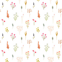 Seamless pattern of watercolor dried flowers, isolated on white background.
