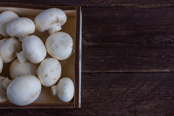 Champignon mushrooms in a wooden tray on a dark background