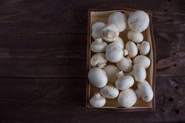 Champignon mushrooms in a wooden tray on a dark background