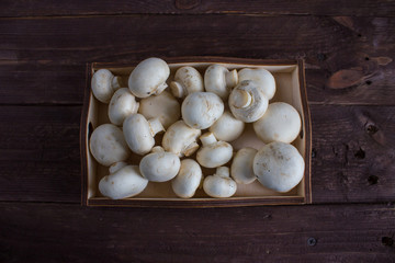 Champignon mushrooms in a wooden tray on a dark background