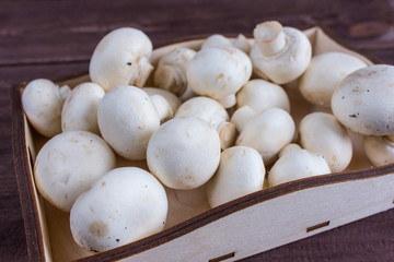 Champignon mushrooms in a wooden tray on a dark background