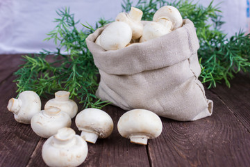 Fototapeta premium Champignon mushrooms in a bag on a dark background with a sprig of greenery