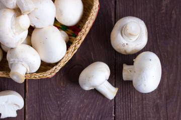 Champignon mushrooms in a wicker bowl on a dark background with a sprig of greenery