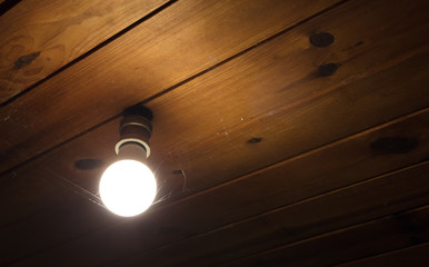 Light bulb from the ceiling