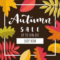 Autumn Sale square promotion banner. Up to 50 percent discount offer. Bright warm colors design with a frame. Scattered colorful falling autumn leaves. Vivid juicy colors. Bouncy lettering. Vector
