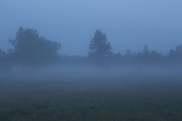 Obraz na płótnie Canvas nebel