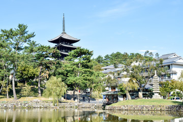 Fototapeta na wymiar 興福寺