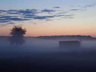 Nebel über dem Feld am Ortsrand im Abendrot mit alter Hütte Unterstand