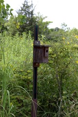 The old brown wood birdhouse in the tall grass field.