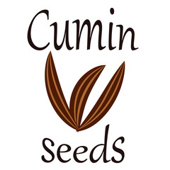 Obraz premium cumin, zira, spice, seed, seasoning, cooking, herb, indian, condiment, dry, aroma, aromatic, cuisine, isolated, organic, spicy, gourmet, spices, kitchen, culinary, dried, brown, 