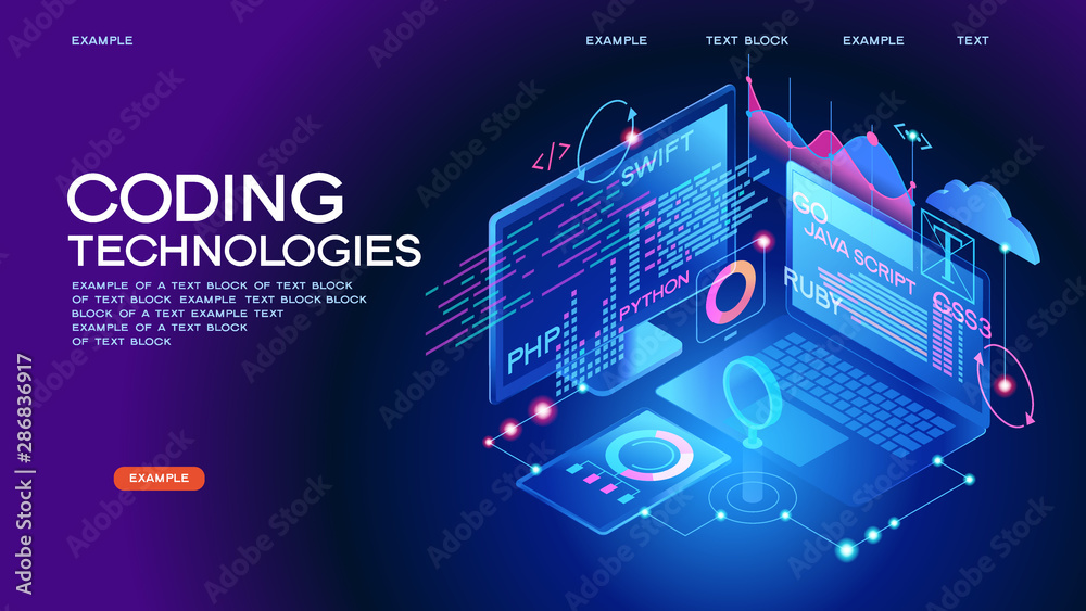 Wall mural programming web banner