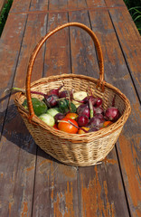 Basket of vegetables in the garden