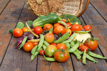 Basket of vegetables in the garden